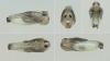 Phronia conformis